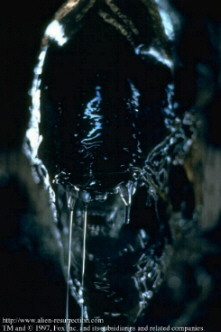 Alien